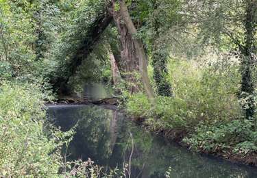 Tocht Stappen Geer -  natagora réserve du haut Geer Hollogne  - Photo