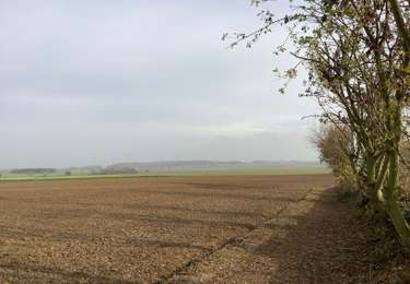 Tocht Stappen Graven - Nethen Meerdael  - Photo