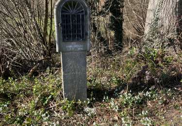 Tocht Stappen Gesves - Mozet  Wierd 02/03/23 - Photo