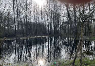 Tocht Stappen  - Marquenterre sud retour - Photo