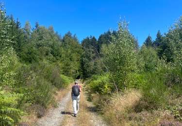 Tocht Stappen Vielsalm - Vielsam variante - Photo