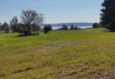 Randonnée Marche Martigues - Figuerolles au Printemps  - Photo