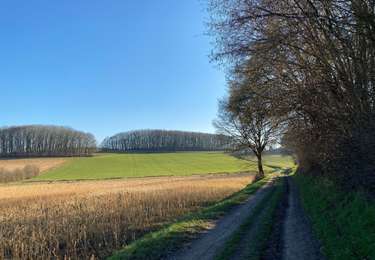 Tocht Stappen Huldenberg - Ottemburg  - réserve naturelle de Rodebos - Photo