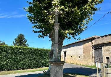 Excursión Senderismo Chénas - De Chénas vers Dracé - Photo