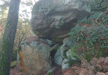 Tour Wandern Fontainebleau - rocher d'Avon 13 janvier 2023  - Photo