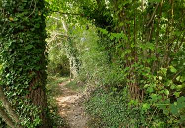 Tour Wandern Huy - Huy - Photo