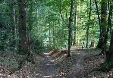 Tour Wandern Beauvechain - Merdael 14/07/26 - Photo