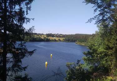 Randonnée Marche Butgenbach - Tour du lac de Butgenbach (Corrigée) - Photo