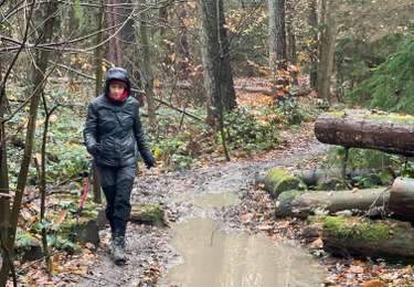 Tocht Stappen Bierbeek - Jonction meerdak - Photo