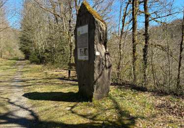Tocht Stappen Bertrix - More et pire - Mortehan - Photo