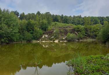 Tour Wandern Anthisnes - Anthisnes - Photo