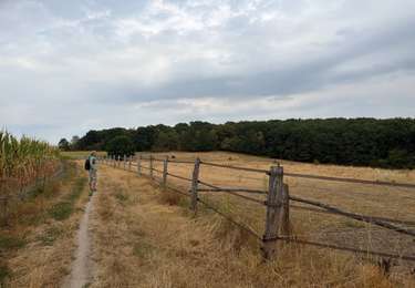 Tour Wandern Grez-Doiceau - Nethen  Sint Joris Pecrot - Photo