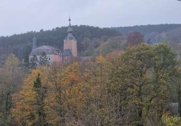 Tour Wandern Viroinval - Mazee Point Vert 2024 - Photo