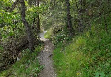 Tour Wandern Mostuéjouls - Liaucous Eglazines  - Photo
