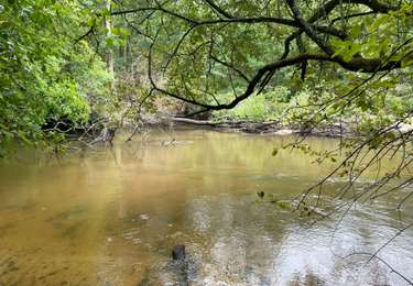 Tocht Stappen Lugos - Vieux Lugos - Photo