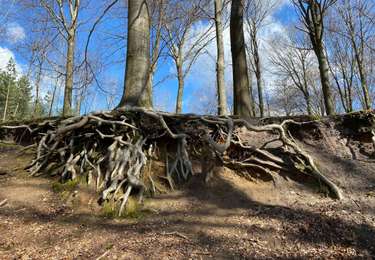 Tocht Stappen Genepiën - Ways Glabais Etc..... - Photo