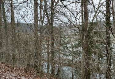 Trail Walking Tellin - resteigne - Photo