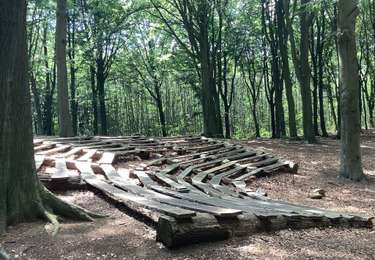 Tocht Stappen Holsbeek - Holsbeek - Chartreuzenbos (Dutsel) 21/07/20 - Photo