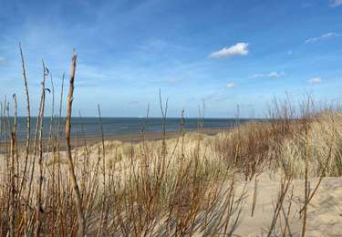 Tocht Stappen De Haan - De hann 2 Weduine - Photo