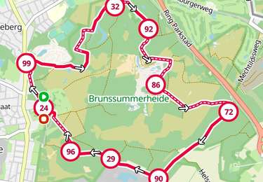 Trail Walking Heerlen - 2026-03-13_16h18m06_brunssummerheide - Photo