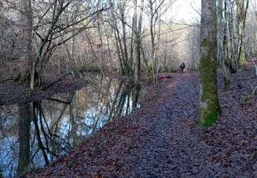 Tour Wandern Ciney - chat à pois - Photo