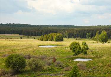 Randonnée Cheval Saint-Hubert - Chevauchée sur les pas de Saint Hubert - Photo