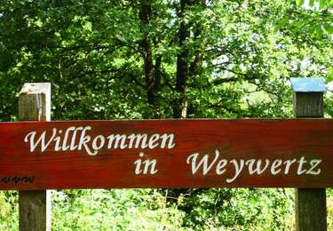 Randonnée Marche Butgenbach - 4950 Weywertz -Robertville - Weywertz 16 Km 30-07-2022 - Photo