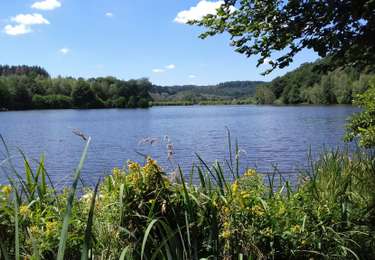Trail Walking Champeau-en-Morvan - Tour du lac de Chamboux  - Photo