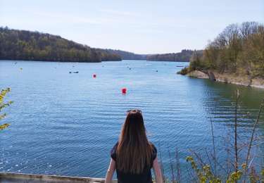 Randonnée Marche Froidchapelle - La balade du grand cerf aux lacs de l’eau d’heure  - Photo