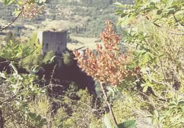 Randonnée Marche Buis-les-Baronnies - BruBer-Buis/La Roche - Photo