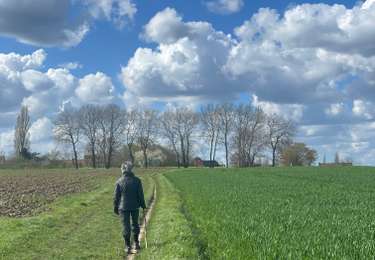 Tocht Stappen Holsbeek - Sin Pieter Rode  - Photo