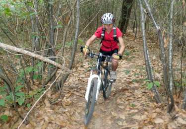 Tour Wandern Beaumont Saint-Cyr - My Colombier - Photo