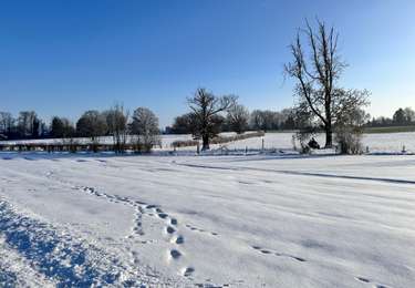 Excursión Senderismo Hannut - Hannut R1 - Photo