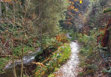 Randonnée A pied Malmedy - Boucle Longfaye Rheinardstein cascade du Bayehon - Photo