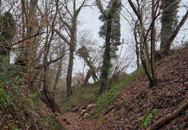 Tour Wandern Chaumont-Gistoux - Vieusart - Dion - Photo