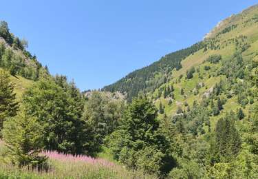 Randonnée Marche Les Contamines-Montjoie - Le Lay - Chalet du Truc - Photo