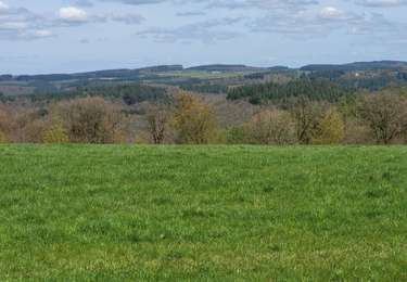 Tocht Stappen Bouillon - Rochehaut moulin de l epine - Photo