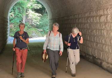 Tocht Stappen Saint-Hubert - Mirwart - Photo