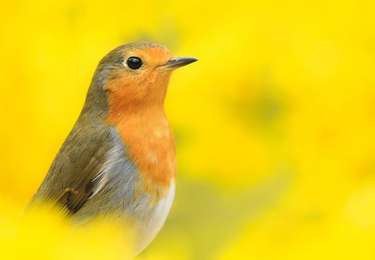 Trail Motor Sainte-Ode - Saisons de la Photo 2022 - Amberloup/Tenneville - Photo