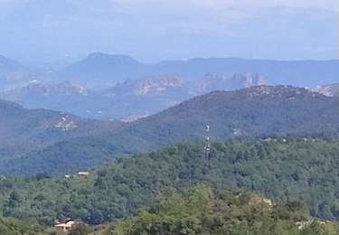 Tocht Stappen La Garde-Freinet - les roches  blanches - Photo