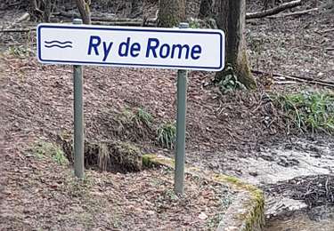 Randonnée Marche Couvin - BruBer - Couvin Ry de Rome - Photo