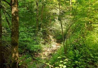 Tour Wandern Dinant - Furfooz  - Photo