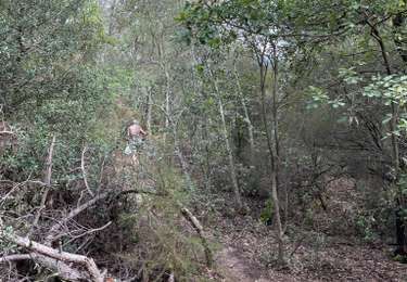 Tocht Stappen Darnius - Boadella lac (Darnius) - Photo