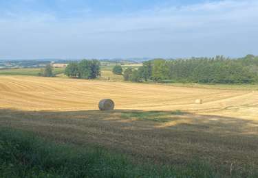 Randonnée Marche Mogues - 2022-07-22: ORVAL - Photo