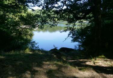 Tour Wandern Saissac - le lampy - Photo