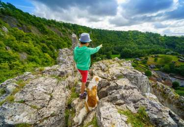 Trail Mountain bike Houyet - Walzin - Photo