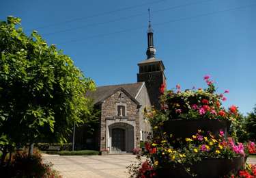 Trail Walking Tenneville - Tenneville - Promenade de la Noire Virée (11) - Photo