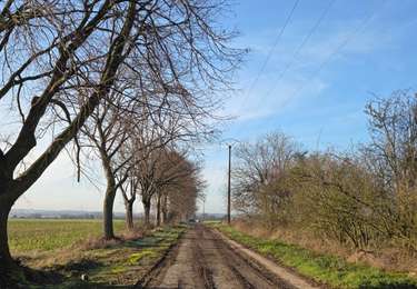 Tour Wandern Les Bons Villers - Mellet - Saint-Amand - Photo