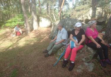 Tour Wandern Fontainebleau - rocher d'Avon 18 août 2023  - Photo