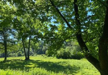 Tocht Stappen Rochefort - Wavrielle  12-06-20 - Photo